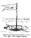 Copy_of_ABHB198.gif (5666 bytes)