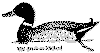 bbrg309b.gif (2550 bytes)