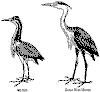 bbrg311.gif (8391 bytes)