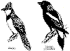 bbrg314.gif (7902 bytes)