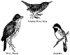 bbrg318.gif (8540 bytes)