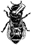 ohb234.gif (9261 bytes)