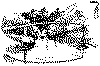 ohb242.gif (17295 bytes)