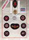 scouts1.jpg (131795 bytes)
