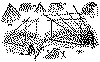sss015.gif (33102 bytes)